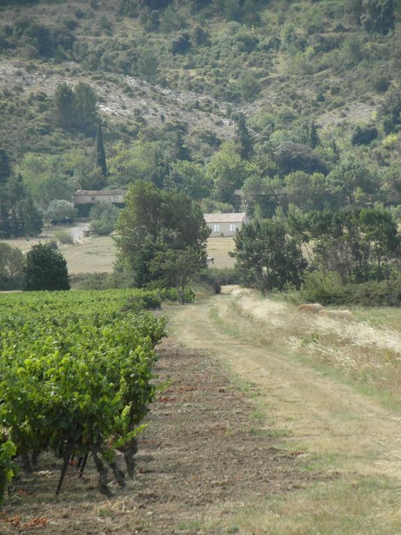 Bergerie Du Plo Villa Montlaur  Eksteriør billede
